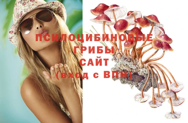 стафф Алзамай