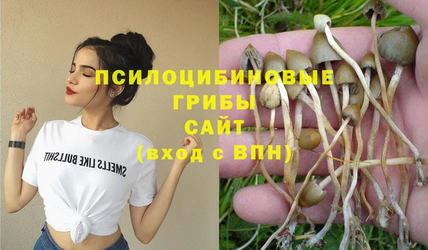 стафф Алзамай