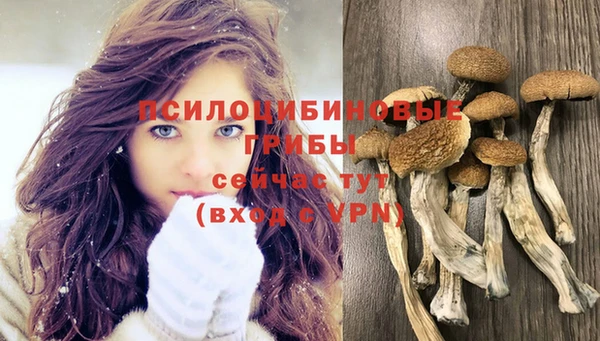 ГАЛЛЮЦИНОГЕННЫЕ ГРИБЫ Алексеевка